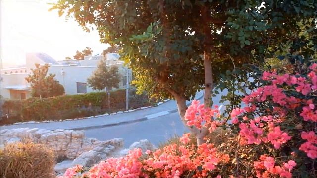 Fuji X30 Video Sample смотреть онлайн