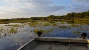 Болотоходы MAX Motor