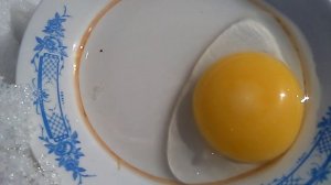 У меня ШОК!!!!!?утка+гусь=оплодотворенные яйца!!!