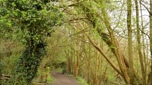 Nikon D3200 Camera Sample Photos using a 18-55mm Kit Lens. смотреть онлайн