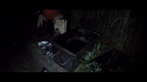 Рыбалка на карповом озере спустя три года!!