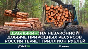  Щаблыкин: На незаконной добыче природных ресурсов Россия теряет триллион рублей