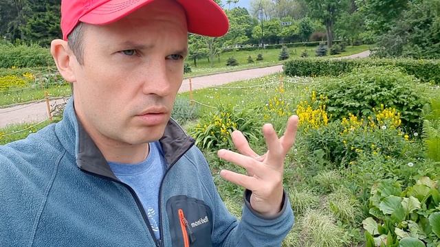 В Петербурге начали появляться луговые газоны! Это прекрасно. смотреть онлайн