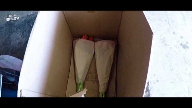 Бизнес на Тюльпанах 8 Марта. Продажа Цветов на Улице.#15