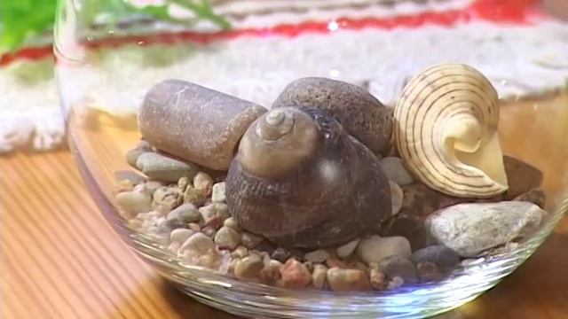 Гелевые свечи "Свечное Королевство".avi смотреть онлайн