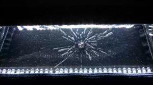 Как выглядит радиация - распад урана-238 в камере Вильсона