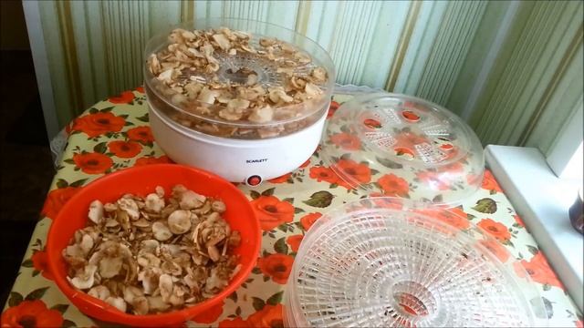 Как высушить топинамбур. Долголет. смотреть онлайн