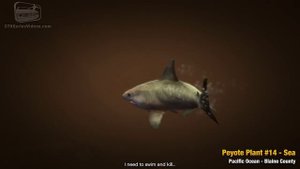 GTA 5 - Peyote Plants Location Guide (Play as an Animal)