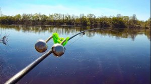 ВОТ ЭТО КАБАНЫ. РЫБАЛКА НА ФИДЕР ВЕСНОЙ НА ЗАПАДНОЙ ДВИНЕ. ЛОВЛЯ ЛЕЩА ВЕСНОЙ.