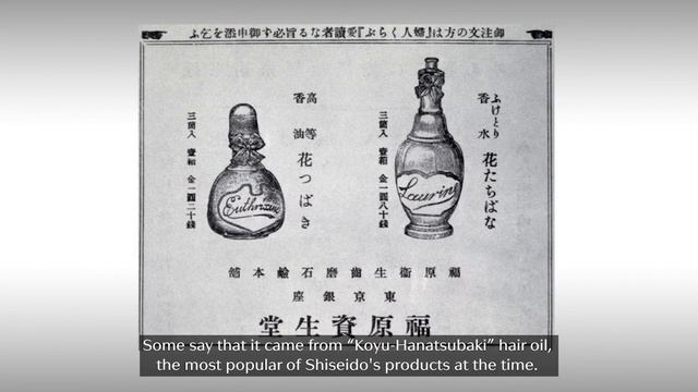 Shiseido Corporate Museum “The Camellia symbol”｜Shiseido