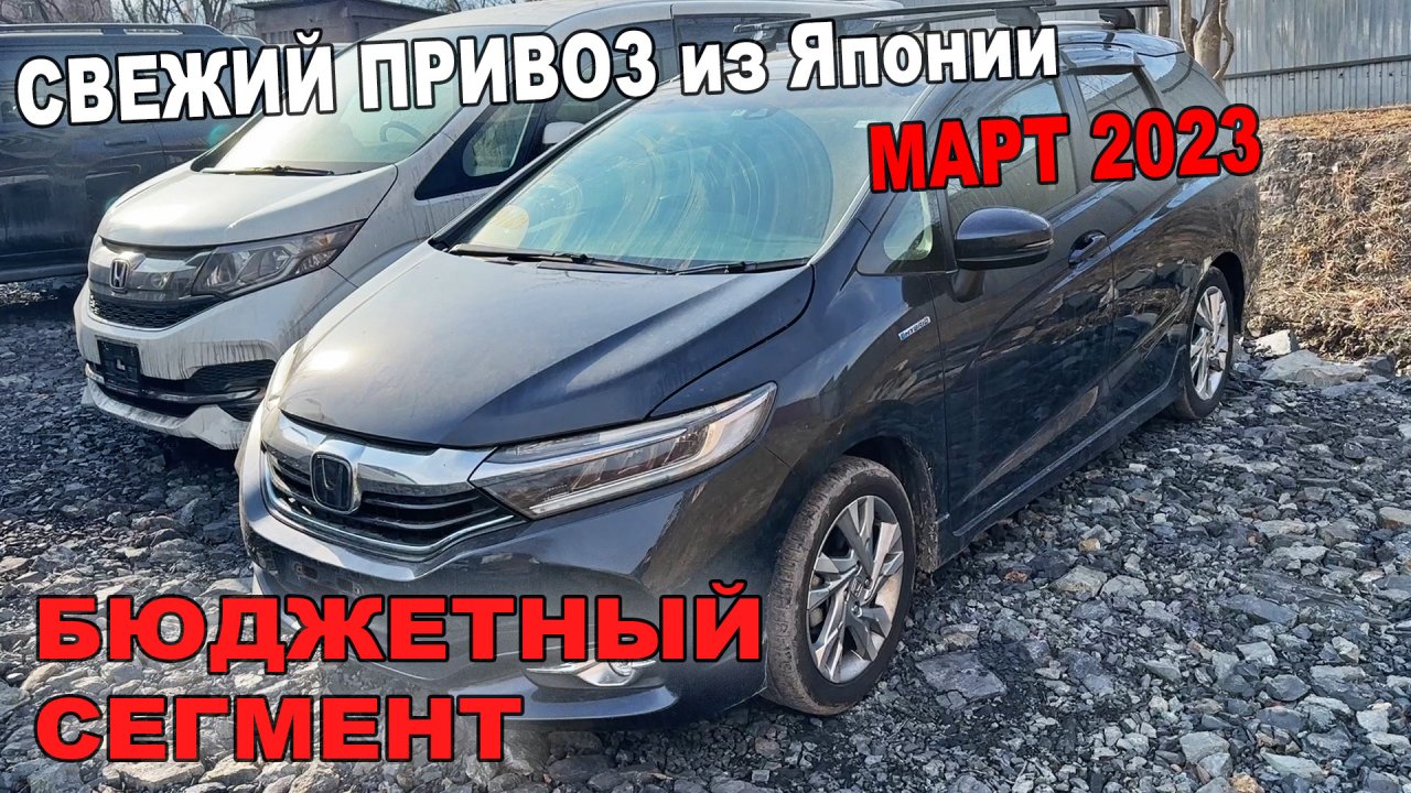 ЧТО ПОКУПАЮТ из ЯПОНИИ март 2023? Обзор стоянки!