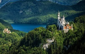 С высоты полёта птиц