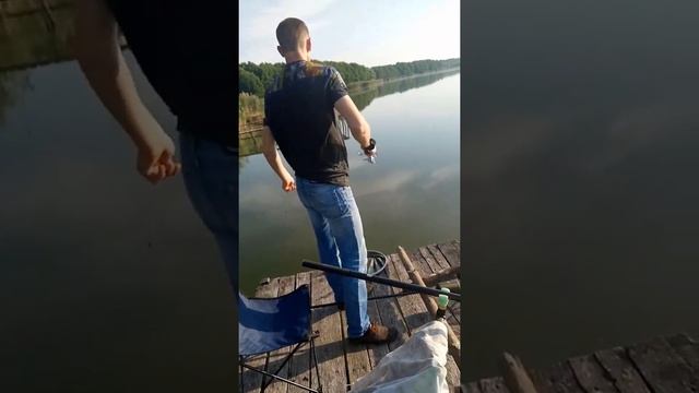 рыбалка на платнике《Карповка》