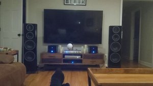 Wharefdale Elysian 4 - Rogue Metis - Emotiva XPA HC1 - Schiit Gungnir DAC - Blue sound Node 2i