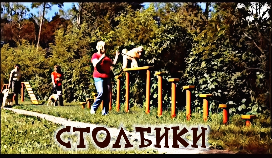 Столбики