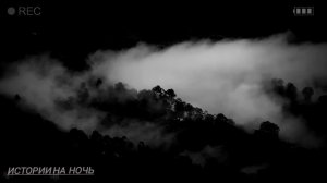 Мистическая история на ночь Ночная встреча.