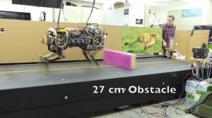 СУПЕР 8 ПРОДВИНУТЫХ РОБОТОВ-ЖИВОТНЫХ, КОТОРЫХ ВАМ НУЖНО УВИДЕТЬ