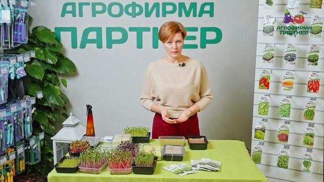 ВСЕ, ЧТО НУЖНО ЗНАТЬ О МИКРОЗЕЛЕНИ