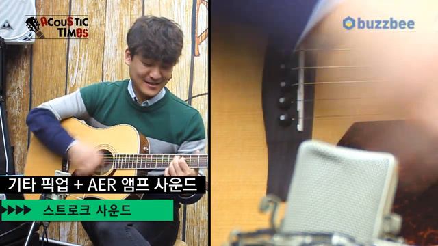 Fender 어쿠스틱기타 PM 1 Standard Dreadnought смотреть онлайн