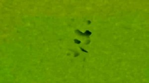 Klasky Csupo SOUND FORGE Audio Studio 13.0 Effects