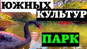 АДЛЕР СЕЙЧАС ПАРК ЮЖНЫХ КУЛЬТУР
