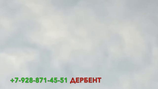 Продаются Бакинские широкохвостые голуби в Дербенте! +7 961 468 46 66 смотреть онлайн