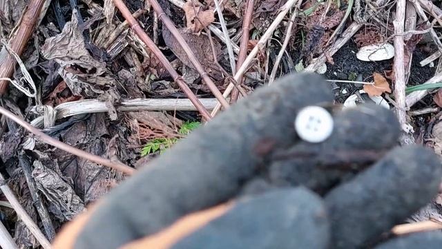 На рыбалку с металлоискателем. (5 часть) Первая поклевка - серебрушка. смотреть онлайн