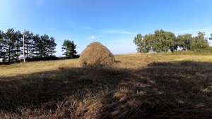 Сенокос по старинке Часть первая