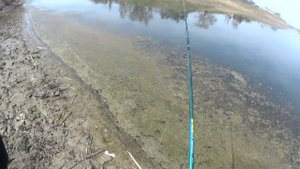 В это время ЗМЕЙГОЛОВА НЕ КЛЮЕТ наивно думал Я! Рыбалка на змееголова в Казахстане. Озеро Кокозек 3