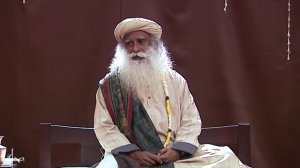 Познать жизнь, а не выживать.srt