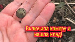 Огородный сезон 2022 открыт. Я в ШОКЕ до слёз. Коллекция лилий уничтожена!