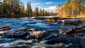 Петрозаводский техникум дорожного строительства