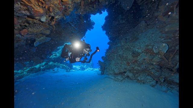 Cozumel New Years 2022 23 -Images by Rick Sass смотреть онлайн