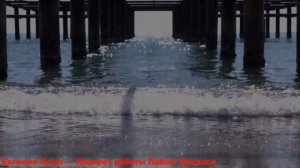 Евгений Осин — Портрет работы Пабло Пикассо