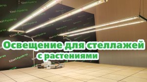 Фитолампы разной мощности для освещение стеллажей с растениями