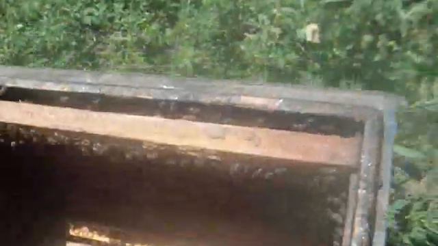 Технология откачки цветочного мёда смотреть онлайн