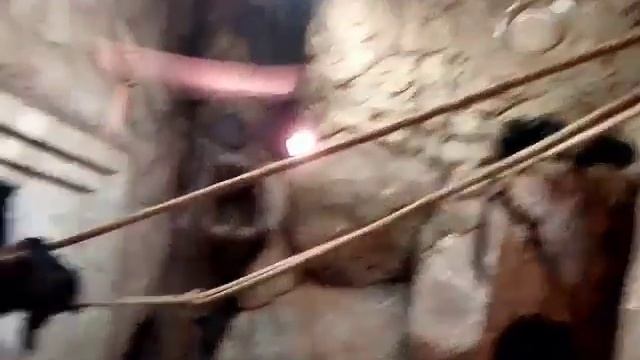 17 сентября 2017 г.Океанариум " Тропическая Амазонка " Лазаревское. Краснорукие тамарины смотреть онлайн