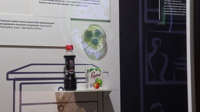 "Царство грибов" смотреть онлайн