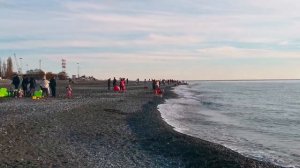 Новый год в АДЛЕРЕ 2022-2023 г. ( эмоции)