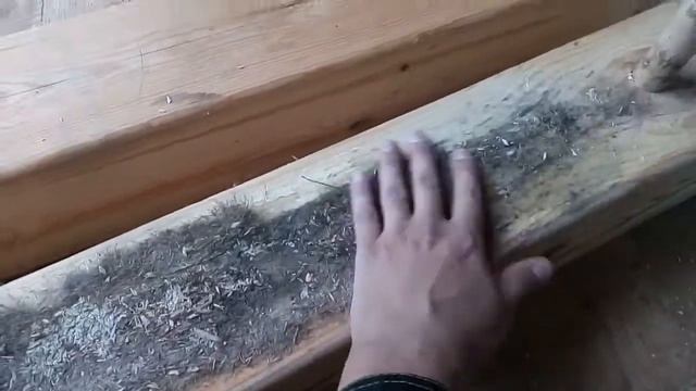 И все таки джут гниёт. смотреть онлайн