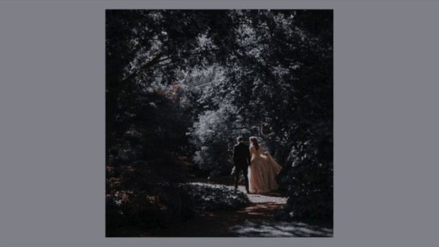 you've been forced to marry the fae king | a fantasy playlist смотреть онлайн