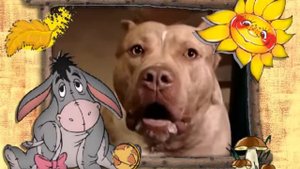 Самый страшный голос в мире у этой собаки