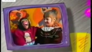 Я всегда с собой беру ви-део-камеру 0.25-16x