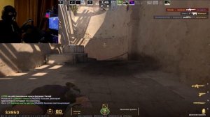 ИГРАЮ В CS 2 НА РУЛЕ + КАК НАСТРОИТЬ И ЗАПУСТИТЬ РУЛЬ В КС 2 ( COUNTER STRIKE 2)