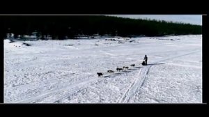 Авраам Руссо - Я не люблю Вас и люблю...