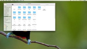 How to install Tukan Studios Plugins in Reaper