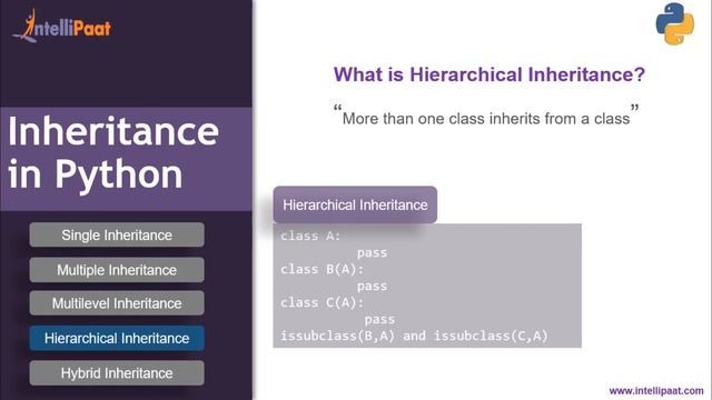 Python Inheritance | Inheritance In Python | Intellipaat