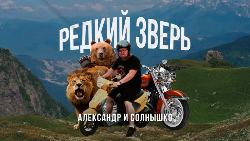 Александр, Солнышко и редкий зверь