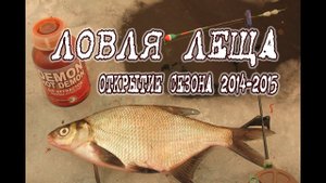 Ловля леща зимой, подводные съемки