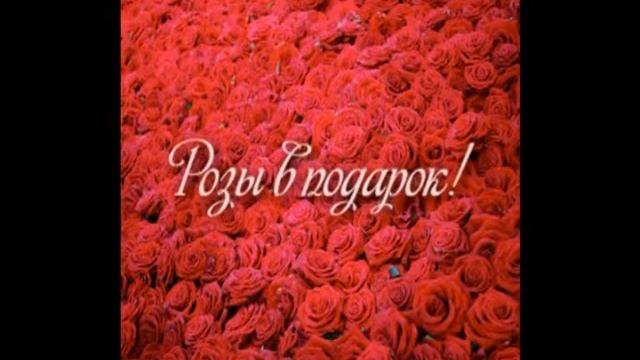 С днем рожденья Мария! смотреть онлайн